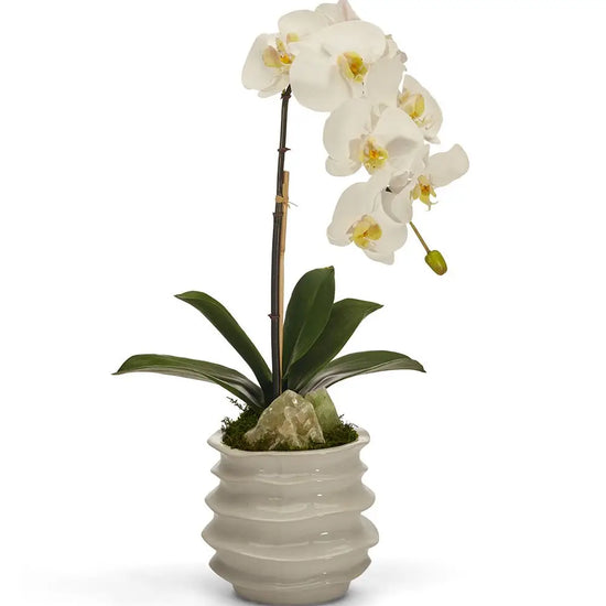 ORCHID IN WAVY POT W/GREEN CALCITE