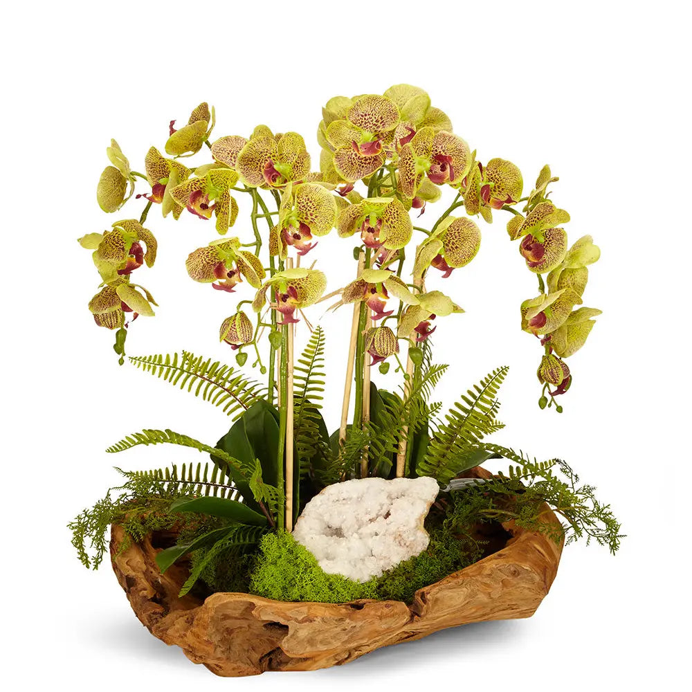 ORCHID AND GEODE IN WOOD BOWL