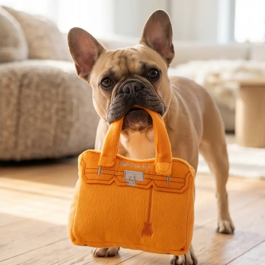 BARKIN BAG SQUEAKER DOG TOY