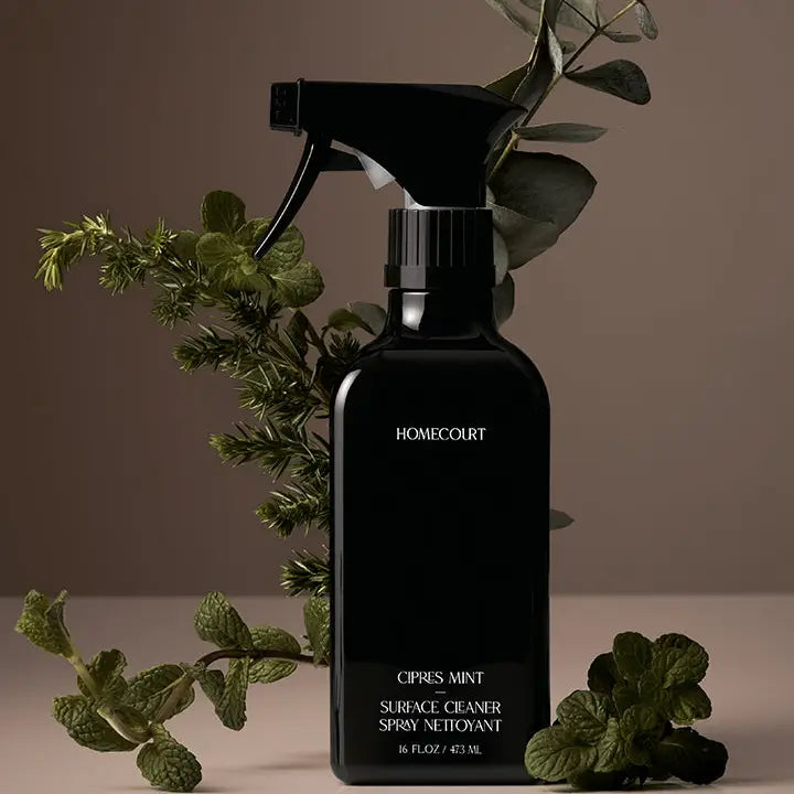 HOMECOURT SURFACE CLEANER