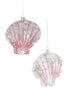 SCALLOPED SHELL ORNAMENT