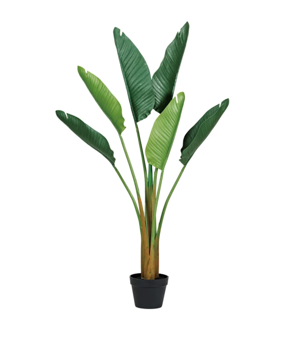 banana plant plastic FAUX BANANA TREE IN PLASTIC POT – breathe at home