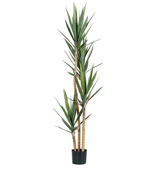 FAUX YUCCA TREE