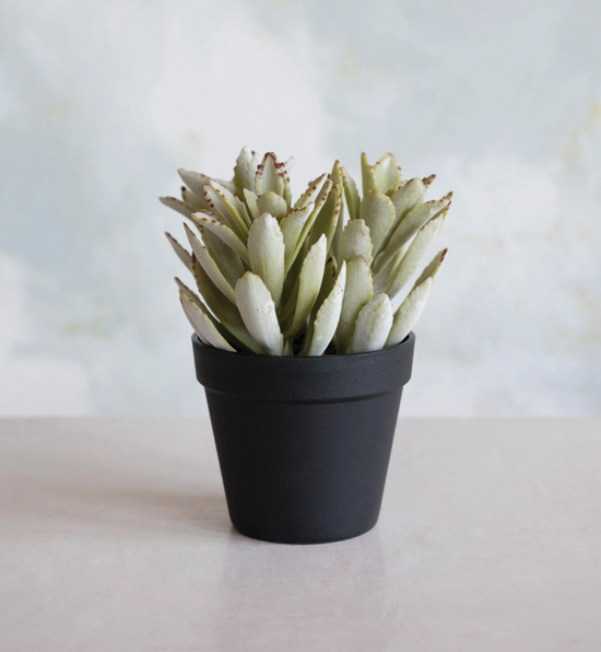 FAUX SUCCULENT IN POT