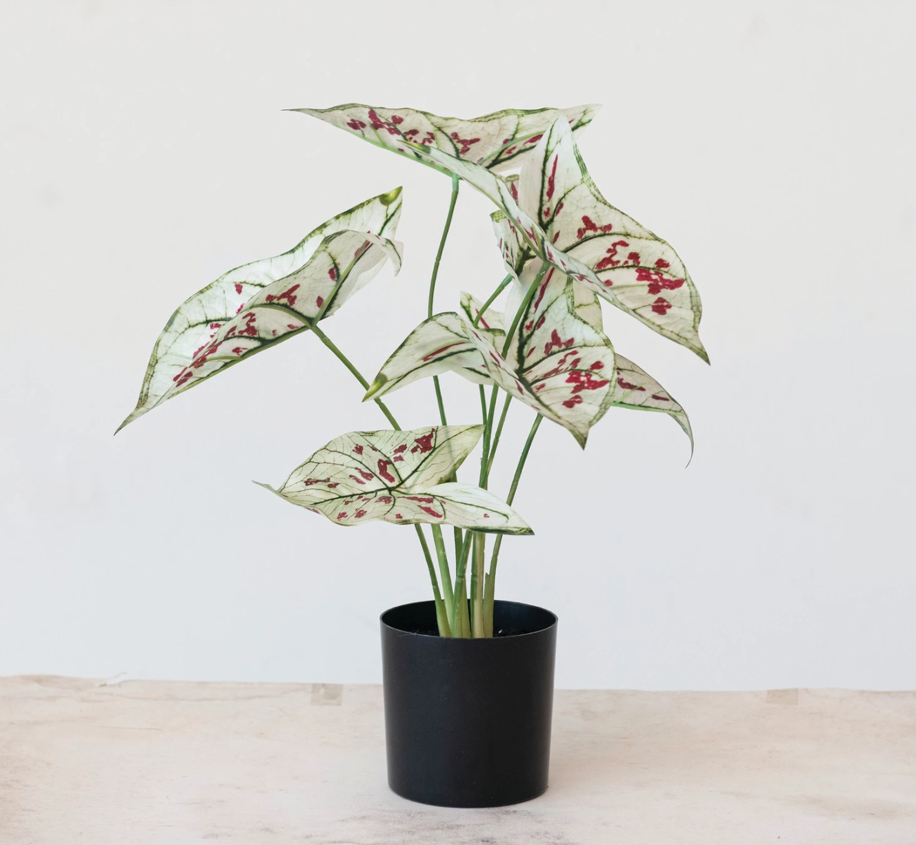 FAUX CALADIUM PLANT