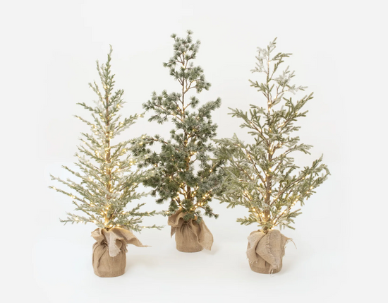 LIT TREE WITH BURLAP BASE