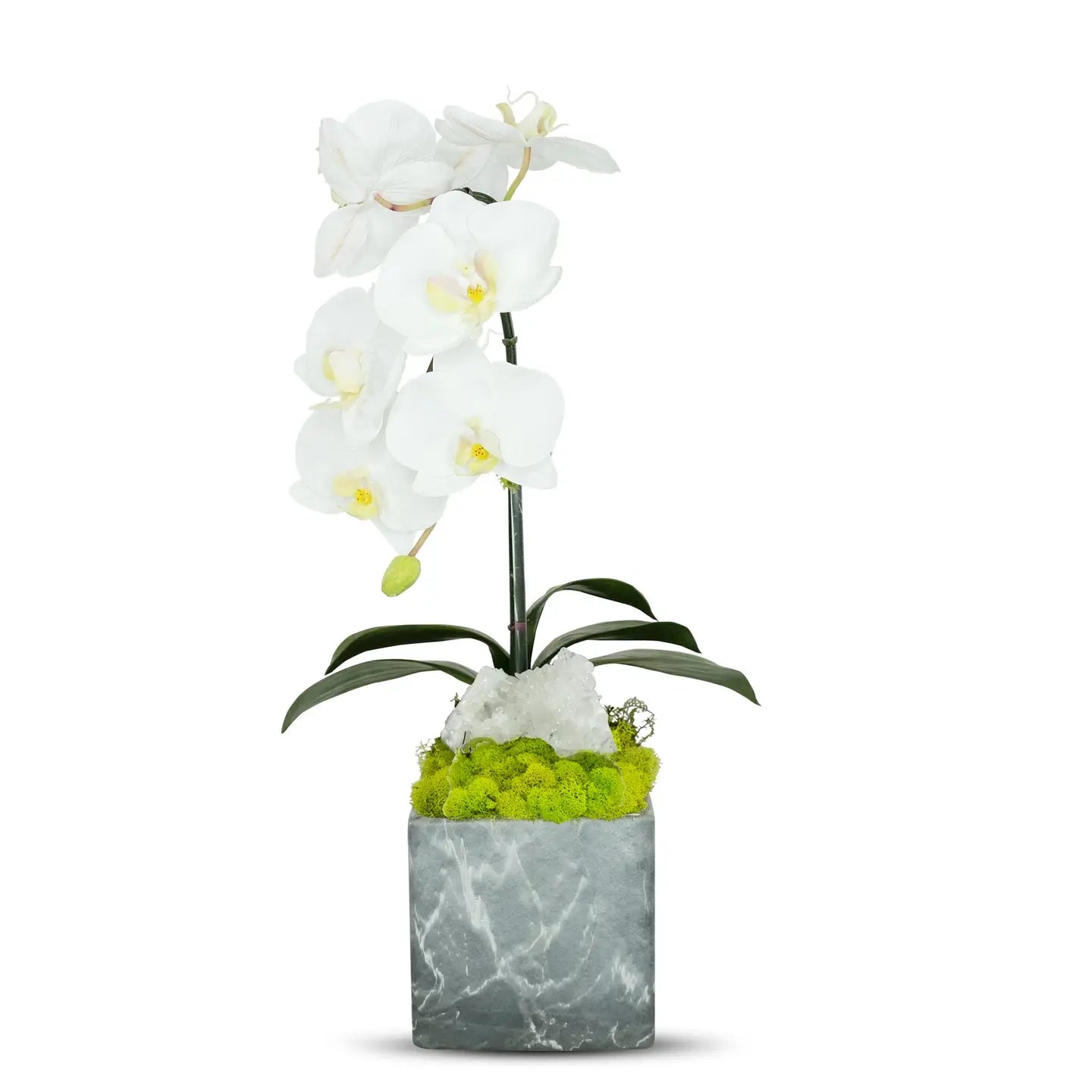 SINGLE WHITE ORCHID W/CRYSTAL