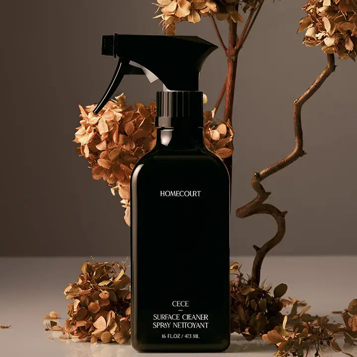 HOMECOURT SURFACE CLEANER