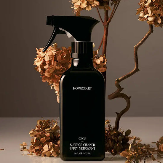 HOMECOURT SURFACE CLEANER