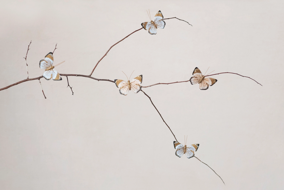 BUTTERFLY CLIP ON ORNAMENT - SINGLE