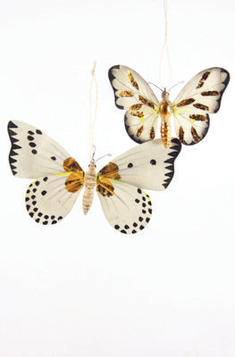 BUTTERFLY W/GOLD ORNAMENT