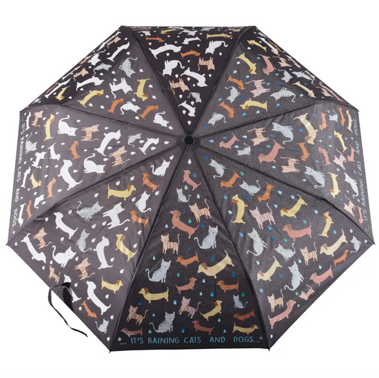 Load image into Gallery viewer, CATS AND DOGS UMBRELLA

